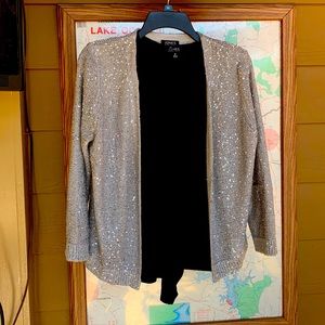 Silver sequined sweater